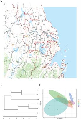 Relationship Between the Fatty Acid Profiles and Gut Bacterial Communities of the Chinese Mitten Crab (Eriocheir sinensis) From Ecologically Different Habitats